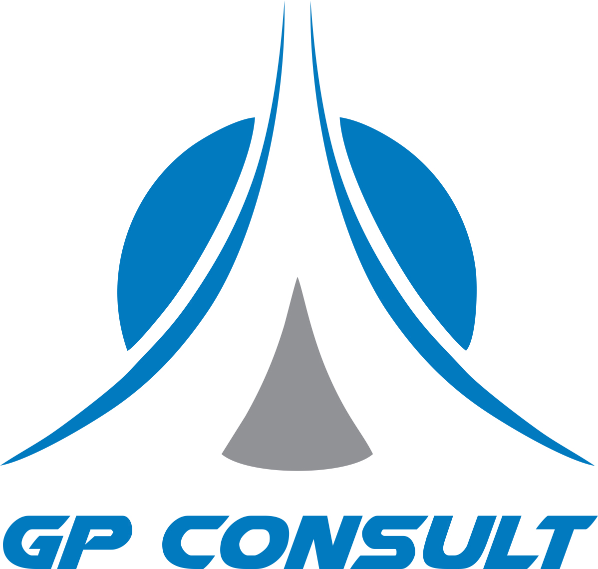 logo_2018_gp_consult